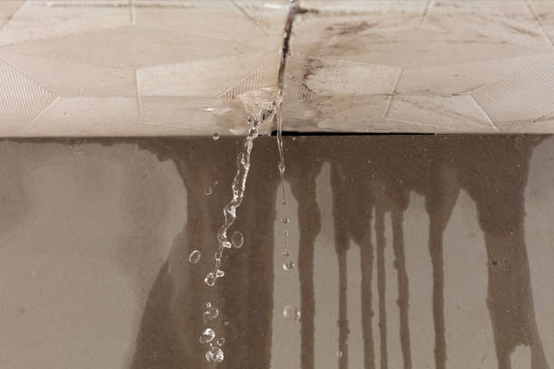 Professional Burst Pipe Cleanup technician working in Fall Branch, TN